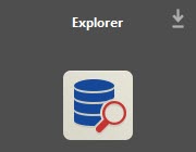 Explorer extension.jpg